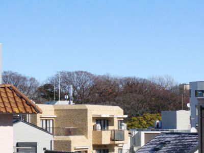 302小石川植物園